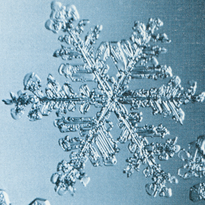 Schneeflocke